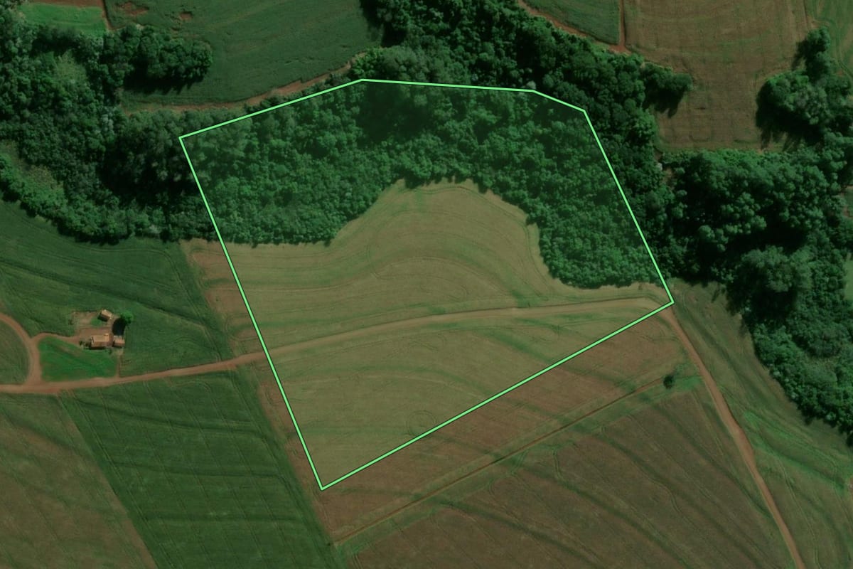 Imagem de satélite do imóvel rural em Tupãssi (PR), com o contorno declarado no CAR desenhado por cima.