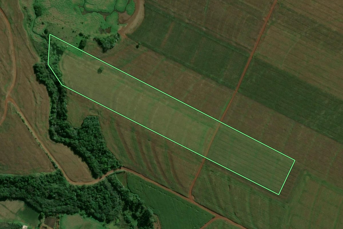 Imagem de satélite do imóvel rural em Tupãssi (PR), com o contorno declarado no CAR desenhado por cima.