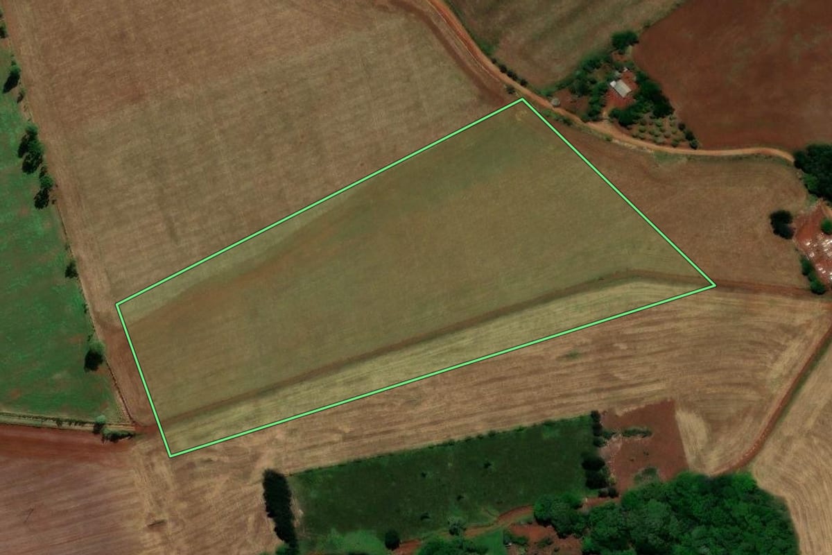 Imagem de satélite do imóvel rural em Turvo (PR), com o contorno declarado no CAR desenhado por cima.