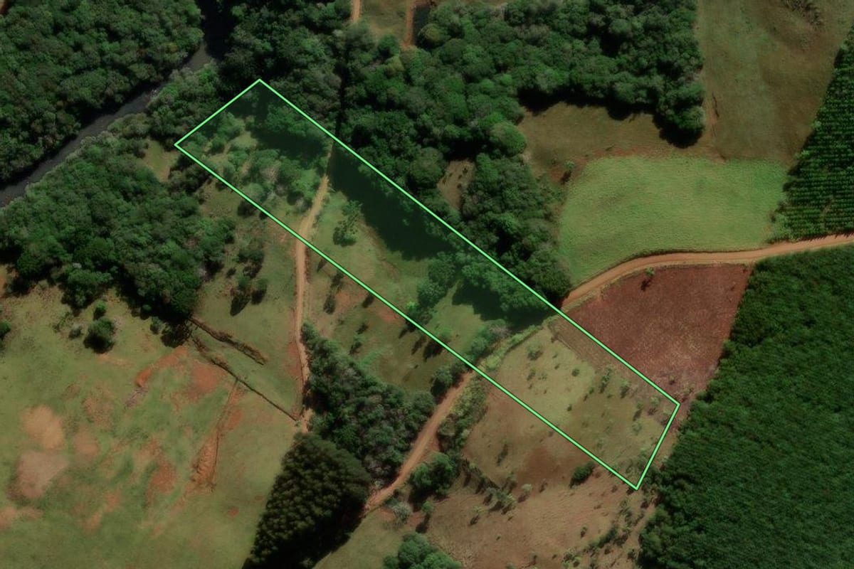 Imagem de satélite do imóvel rural em Turvo (PR), com o contorno declarado no CAR desenhado por cima.