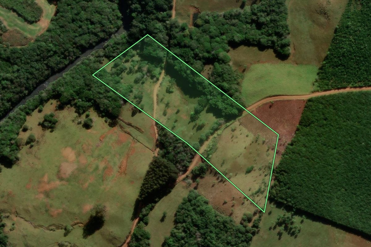 Imagem de satélite do imóvel rural em Turvo (PR), com o contorno declarado no CAR desenhado por cima.