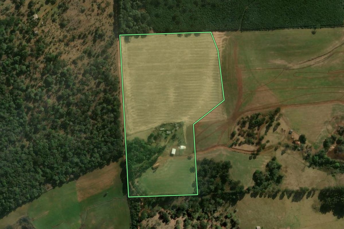 Imagem de satélite do imóvel rural em Turvo (PR), com o contorno declarado no CAR desenhado por cima.