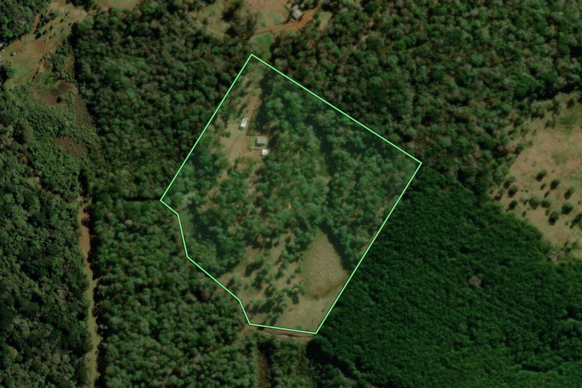 Imagem de satélite do imóvel rural em Turvo (PR), com o contorno declarado no CAR desenhado por cima.