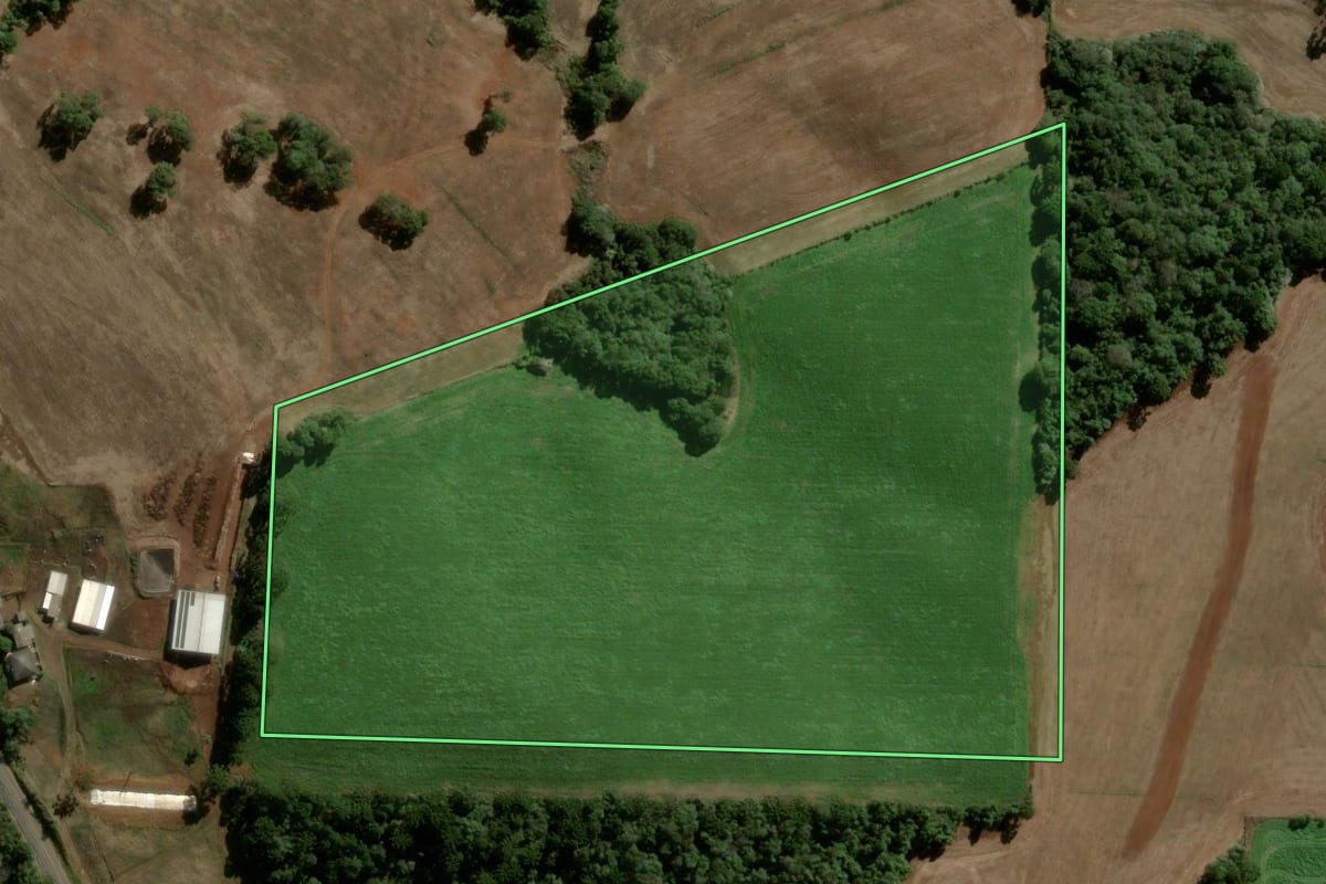Imagem de satélite do imóvel rural em Turvo (PR), com o contorno declarado no CAR desenhado por cima.
