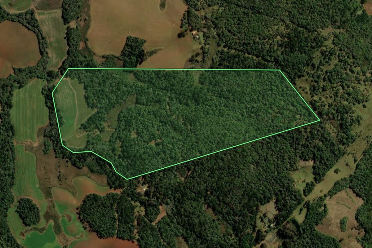 Imagem de satélite do imóvel rural em Turvo (PR), com o contorno declarado no CAR desenhado por cima.