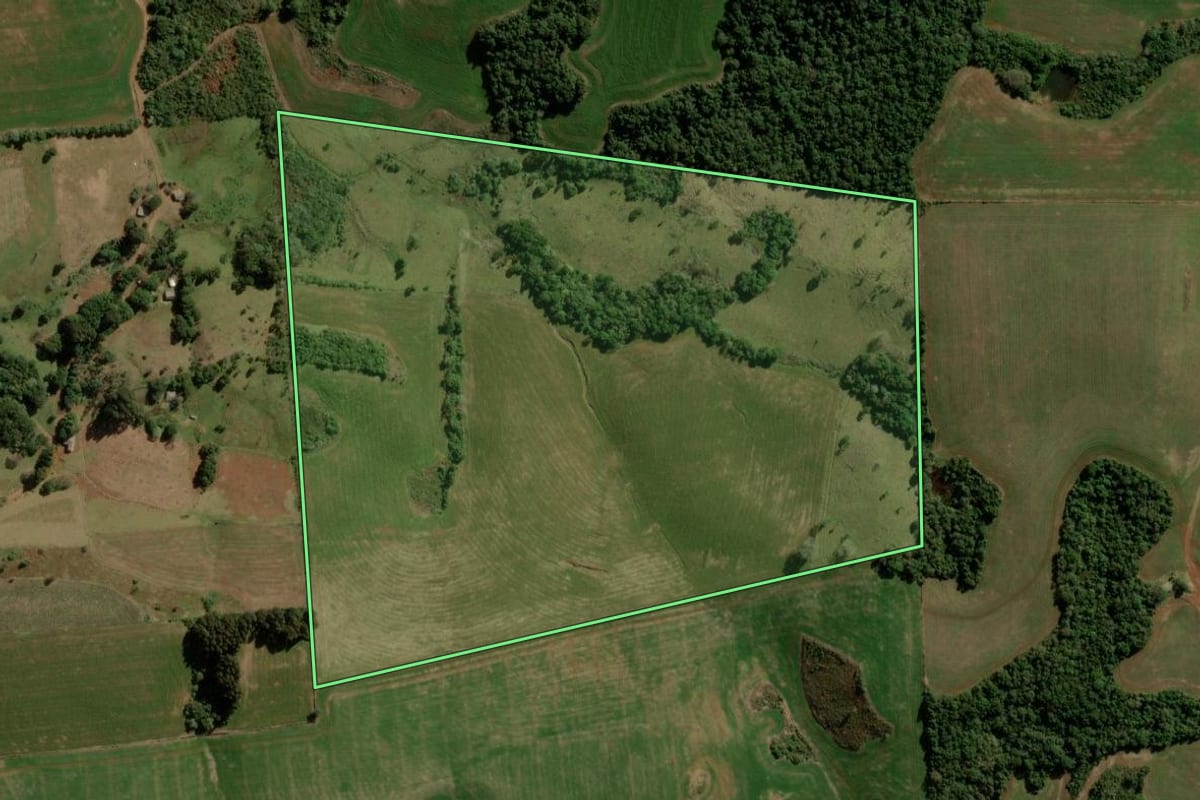 Imagem de satélite do imóvel rural em Turvo (PR), com o contorno declarado no CAR desenhado por cima.