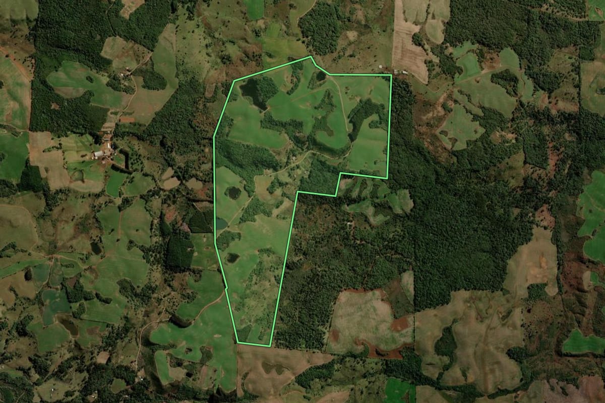 Imagem de satélite do imóvel rural em Turvo (PR), com o contorno declarado no CAR desenhado por cima.