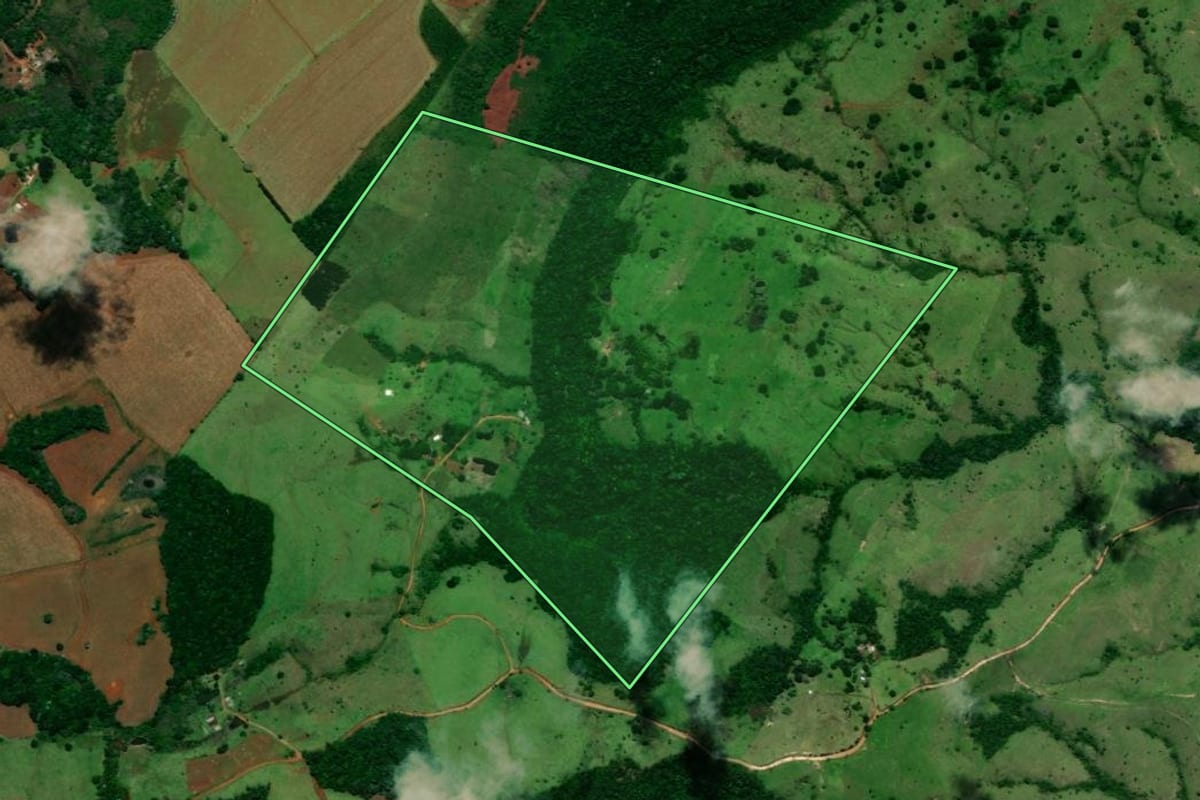 Imagem de satélite do imóvel rural em Turvo (PR), com o contorno declarado no CAR desenhado por cima.