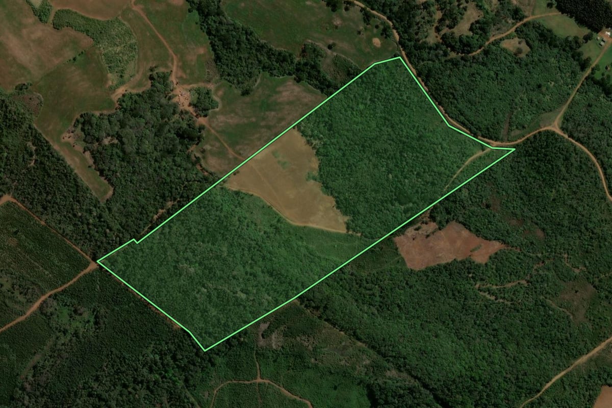 Imagem de satélite do imóvel rural em Turvo (PR), com o contorno declarado no CAR desenhado por cima.