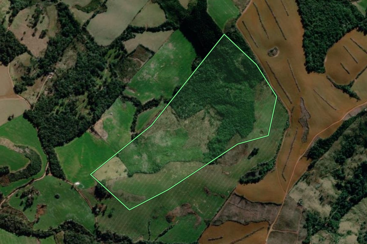 Imagem de satélite do imóvel rural em Turvo (PR), com o contorno declarado no CAR desenhado por cima.