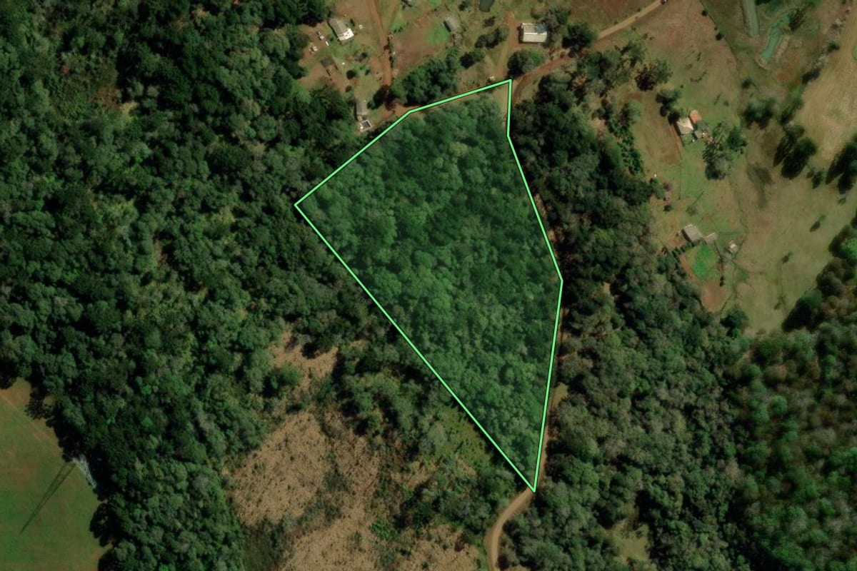Imagem de satélite do imóvel rural em Turvo (PR), com o contorno declarado no CAR desenhado por cima.
