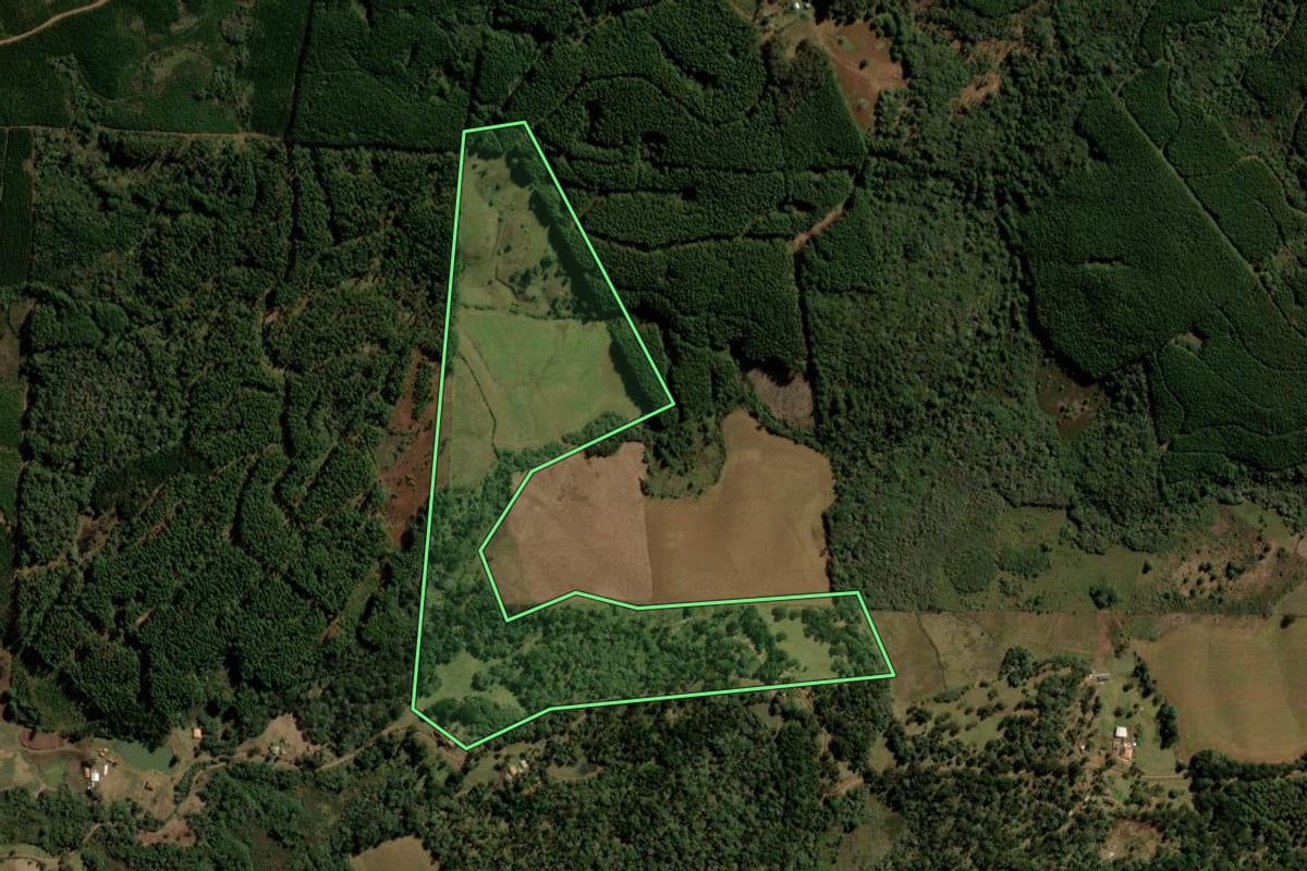 Imagem de satélite do imóvel rural em Turvo (PR), com o contorno declarado no CAR desenhado por cima.
