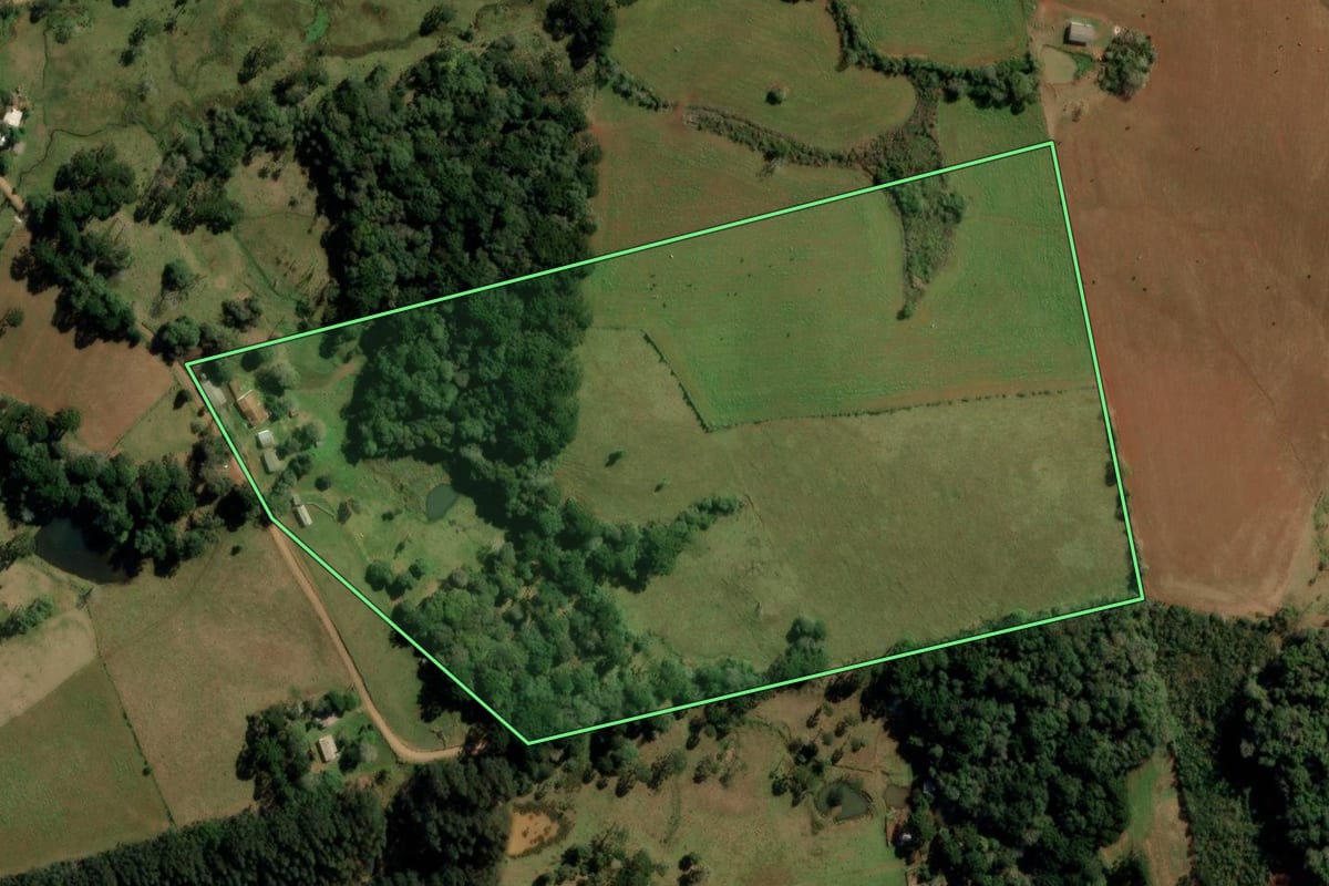 Imagem de satélite do imóvel rural em Turvo (PR), com o contorno declarado no CAR desenhado por cima.