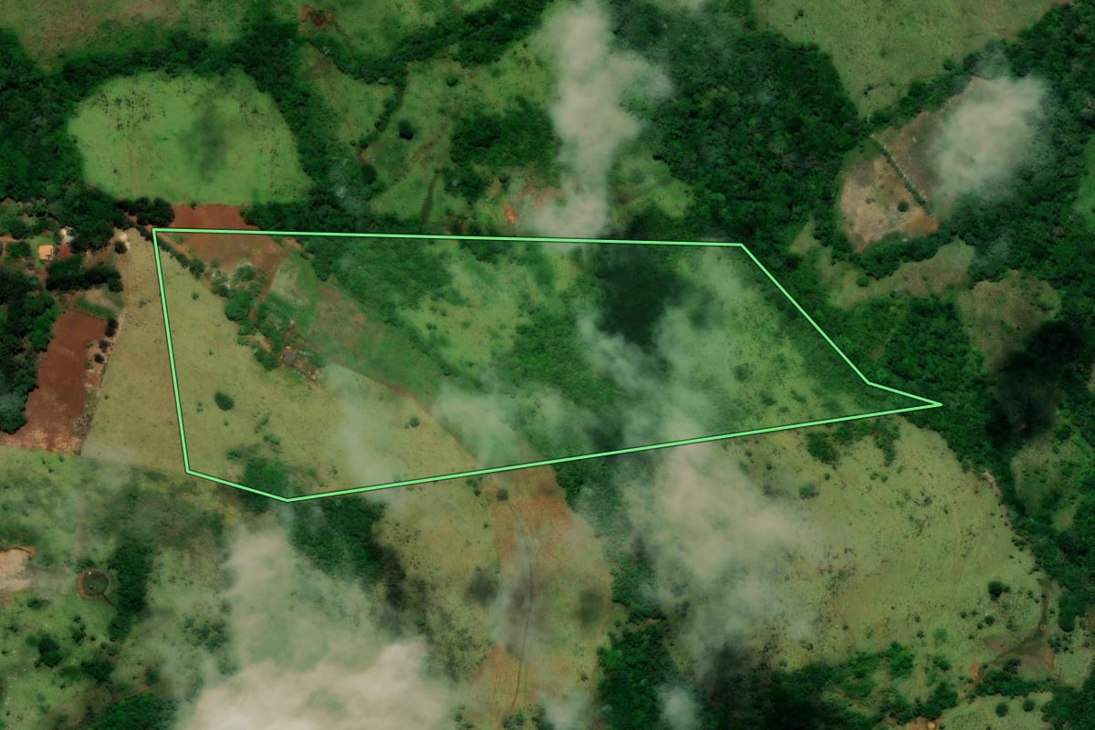 Imagem de satélite do imóvel rural em Turvo (PR), com o contorno declarado no CAR desenhado por cima.