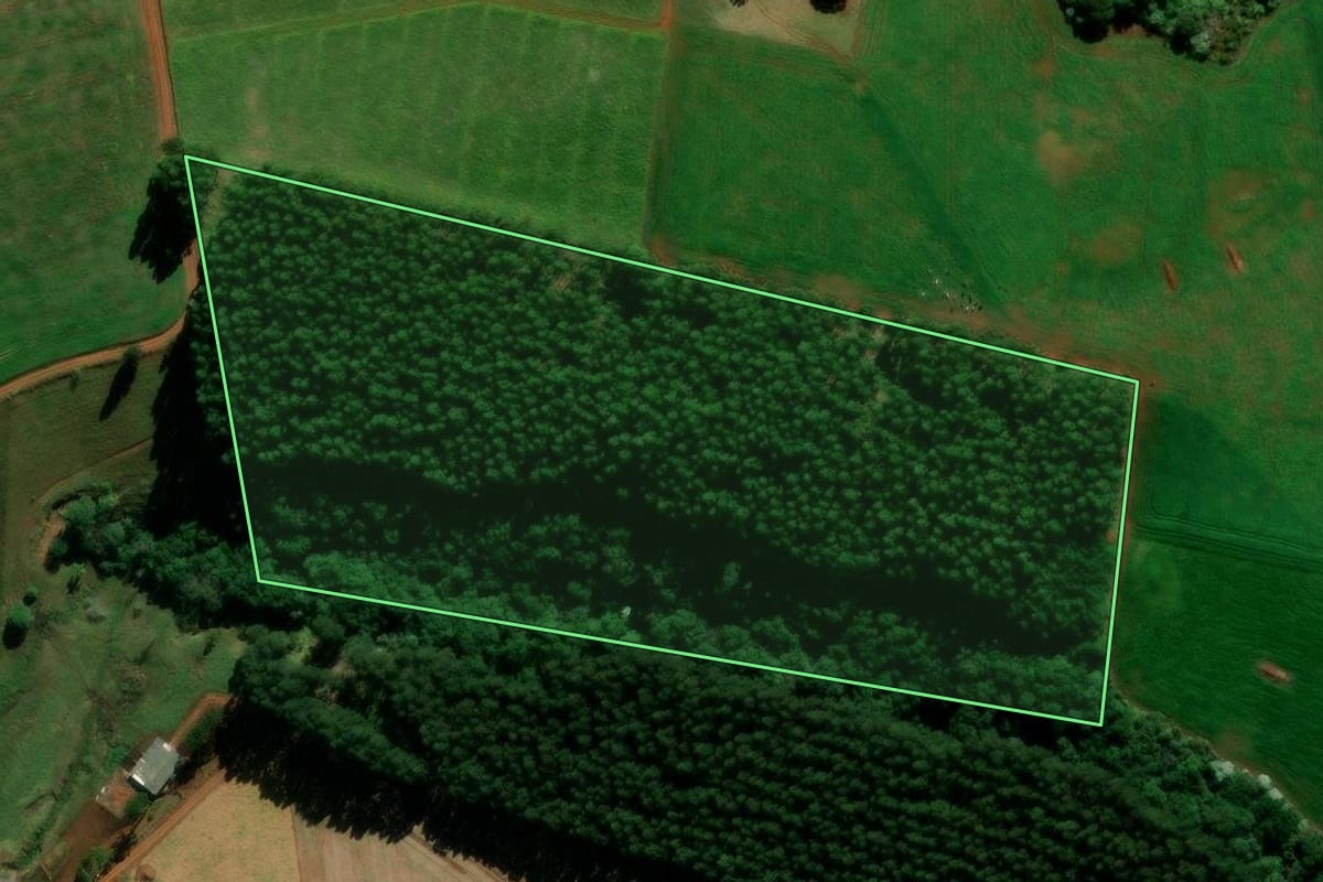 Imagem de satélite do imóvel rural em Turvo (PR), com o contorno declarado no CAR desenhado por cima.