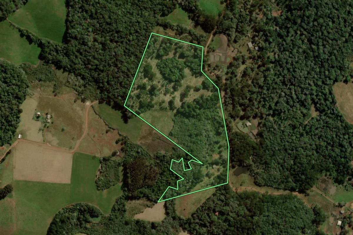 Imagem de satélite do imóvel rural em Turvo (PR), com o contorno declarado no CAR desenhado por cima.