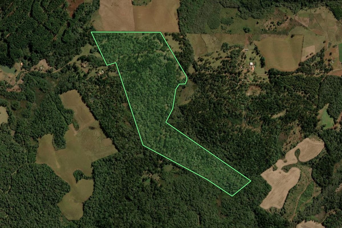 Imagem de satélite do imóvel rural em Turvo (PR), com o contorno declarado no CAR desenhado por cima.