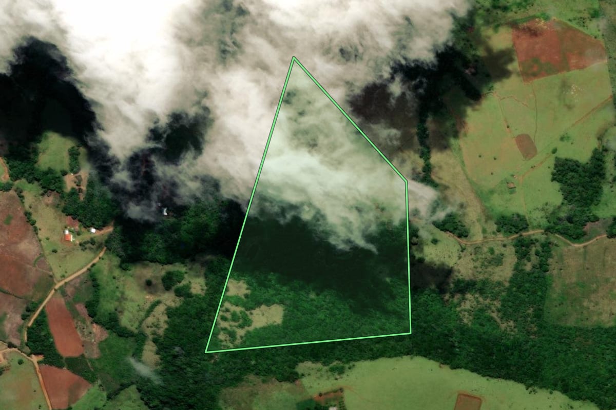 Imagem de satélite do imóvel rural em Turvo (PR), com o contorno declarado no CAR desenhado por cima.