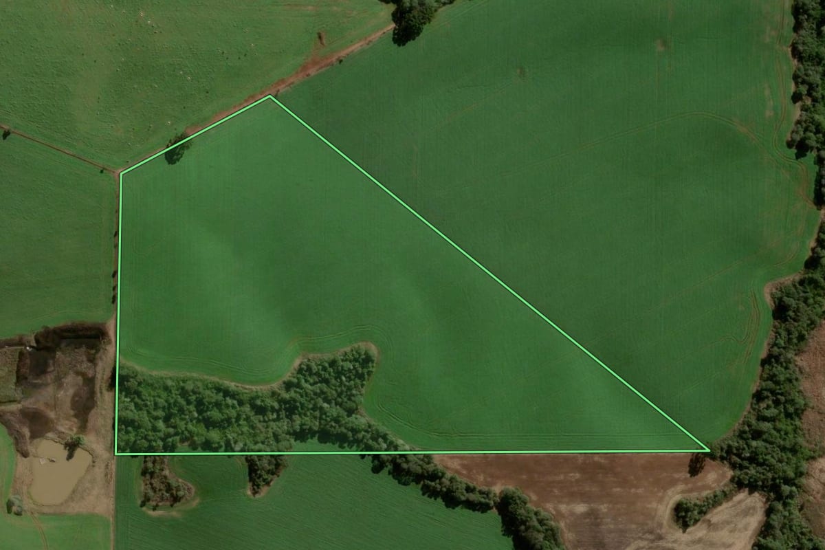 Imagem de satélite do imóvel rural em Turvo (PR), com o contorno declarado no CAR desenhado por cima.