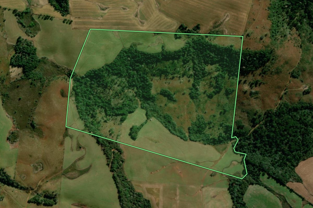 Imagem de satélite do imóvel rural em Turvo (PR), com o contorno declarado no CAR desenhado por cima.