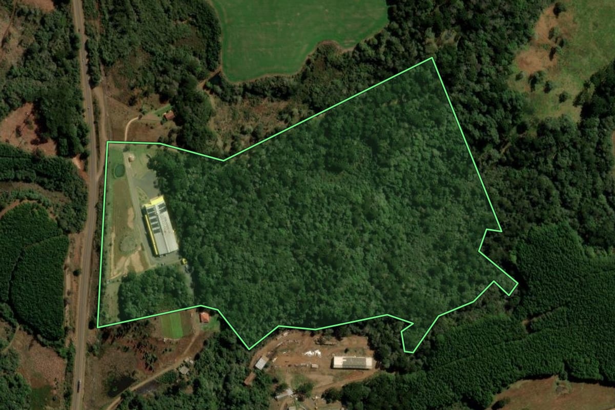 Imagem de satélite do imóvel rural em Turvo (PR), com o contorno declarado no CAR desenhado por cima.
