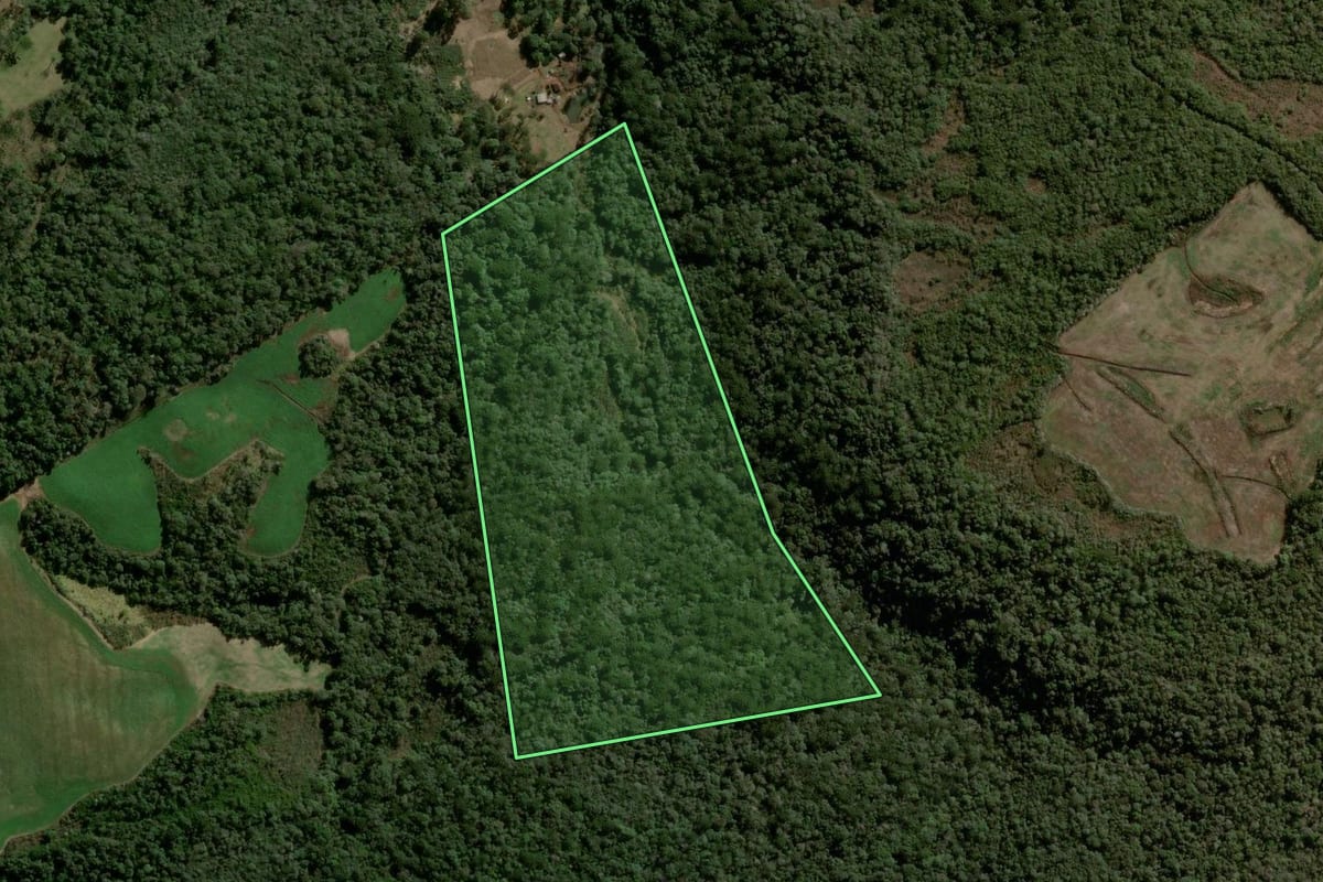 Imagem de satélite do imóvel rural em Turvo (PR), com o contorno declarado no CAR desenhado por cima.