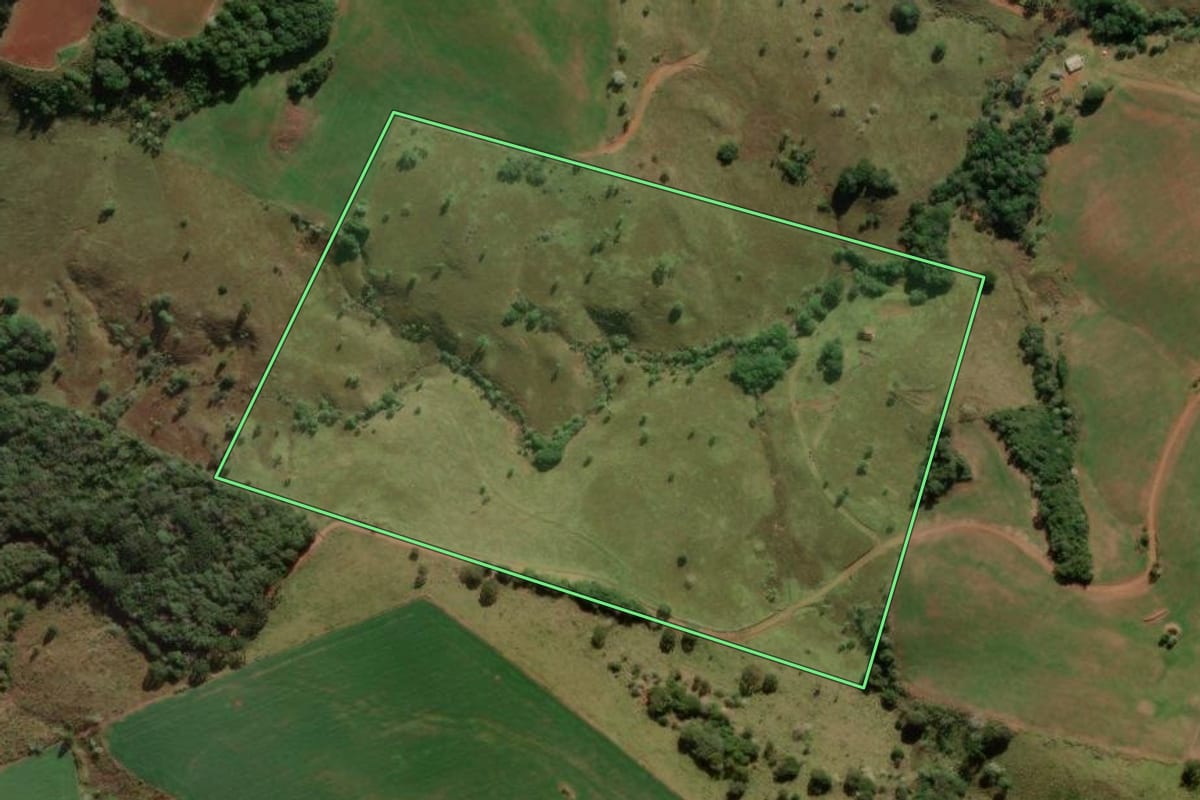 Imagem de satélite do imóvel rural em Turvo (PR), com o contorno declarado no CAR desenhado por cima.