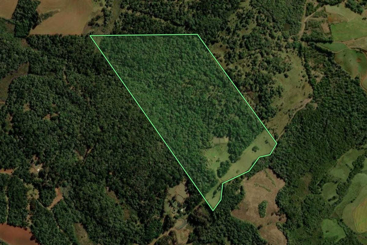 Imagem de satélite do imóvel rural em Turvo (PR), com o contorno declarado no CAR desenhado por cima.