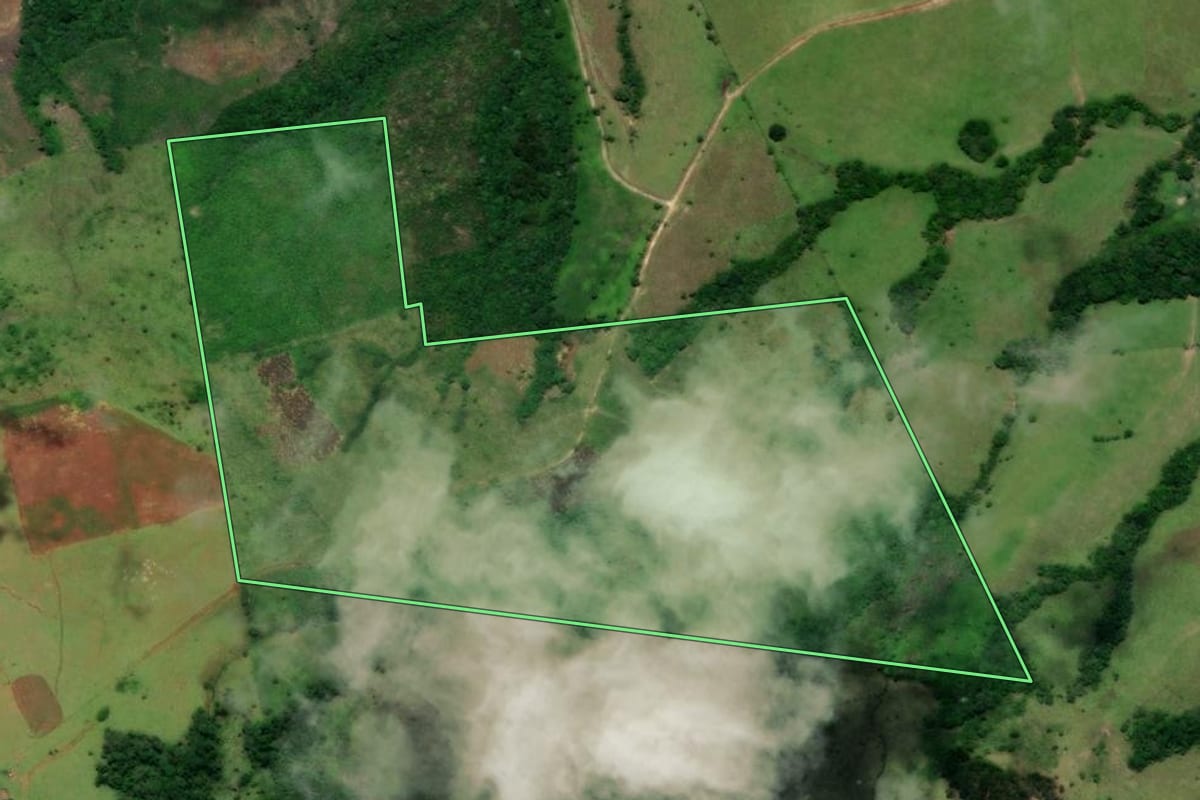 Imagem de satélite do imóvel rural em Turvo (PR), com o contorno declarado no CAR desenhado por cima.