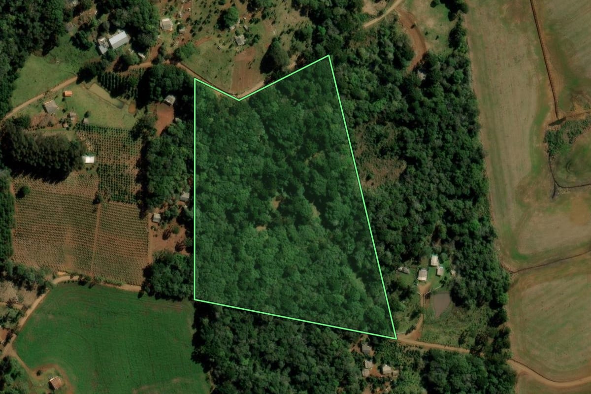 Imagem de satélite do imóvel rural em Turvo (PR), com o contorno declarado no CAR desenhado por cima.