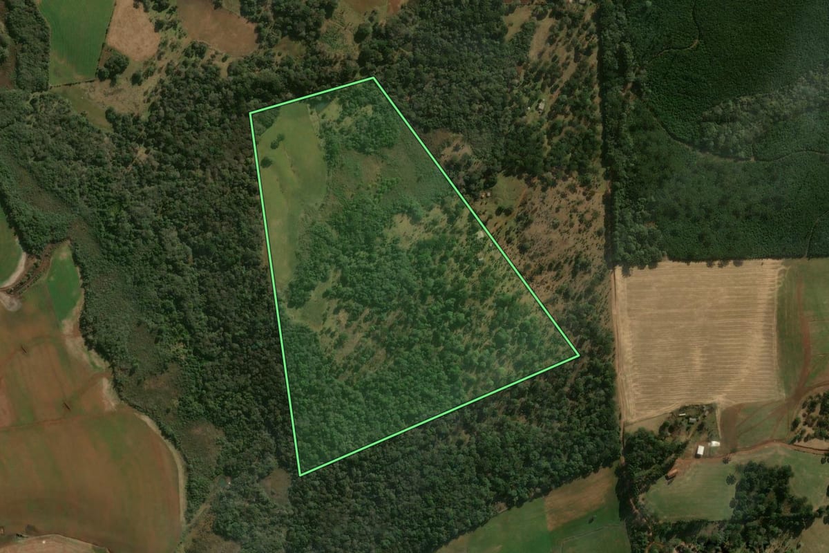Imagem de satélite do imóvel rural em Turvo (PR), com o contorno declarado no CAR desenhado por cima.