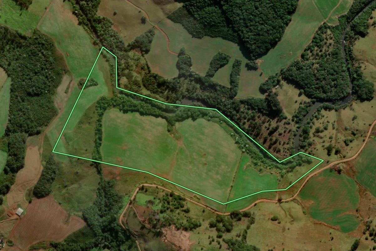 Imagem de satélite do imóvel rural em Turvo (PR), com o contorno declarado no CAR desenhado por cima.