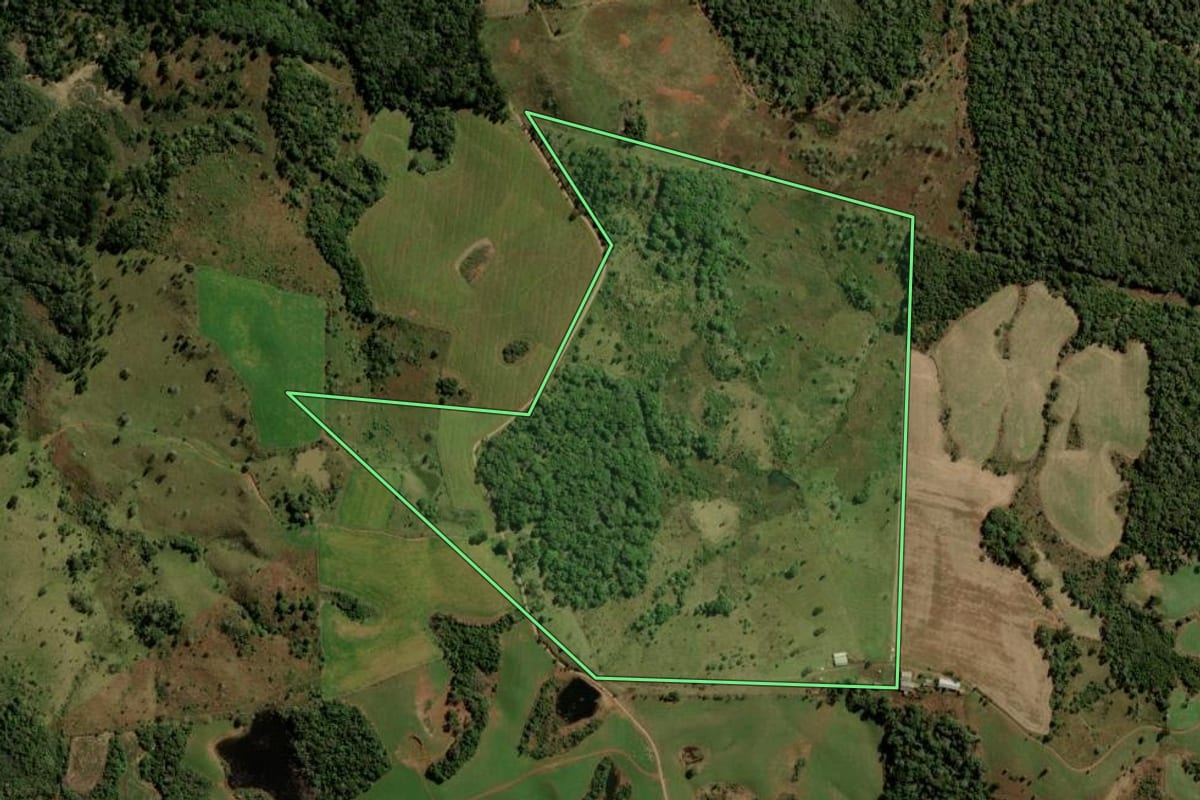 Imagem de satélite do imóvel rural em Turvo (PR), com o contorno declarado no CAR desenhado por cima.
