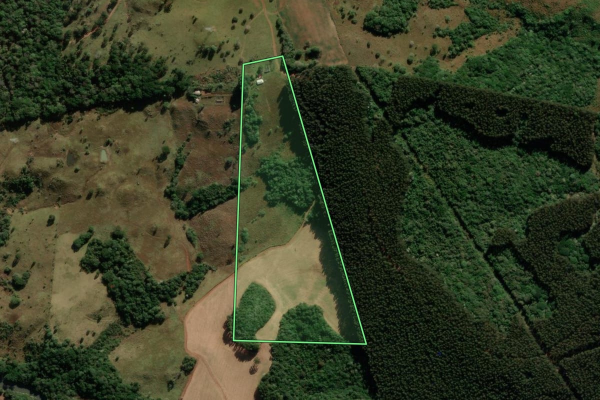 Imagem de satélite do imóvel rural em Turvo (PR), com o contorno declarado no CAR desenhado por cima.