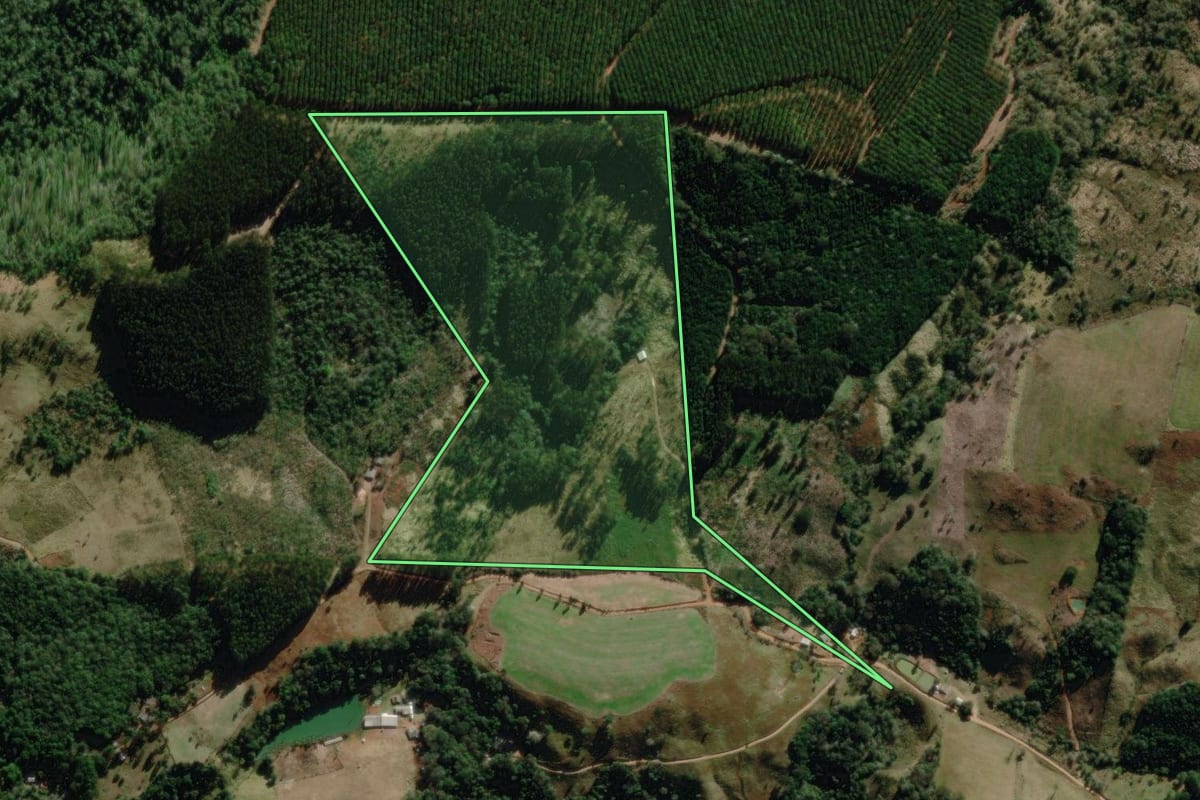 Imagem de satélite do imóvel rural em Turvo (PR), com o contorno declarado no CAR desenhado por cima.