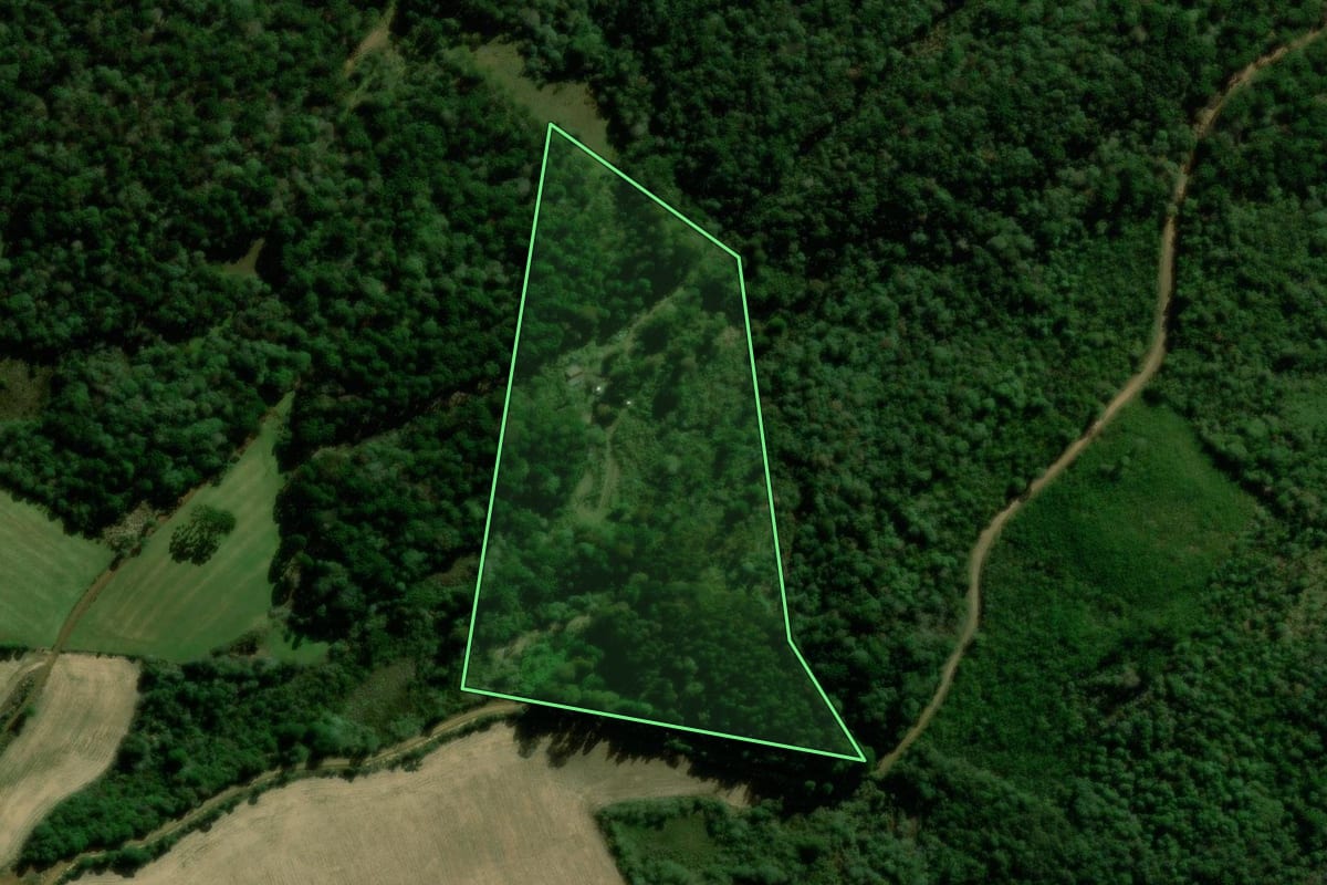 Imagem de satélite do imóvel rural em Turvo (PR), com o contorno declarado no CAR desenhado por cima.