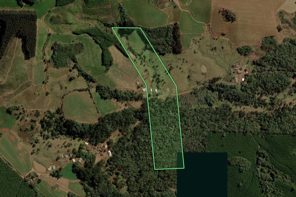 Imagem de satélite do imóvel rural em Turvo (PR), com o contorno declarado no CAR desenhado por cima.