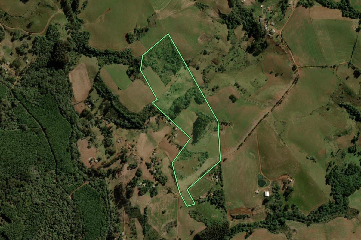 Imagem de satélite do imóvel rural em Turvo (PR), com o contorno declarado no CAR desenhado por cima.
