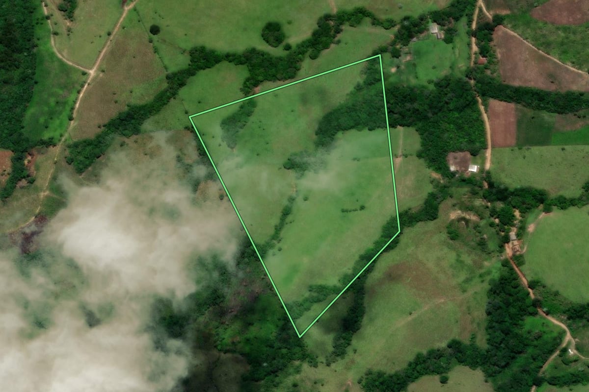 Imagem de satélite do imóvel rural em Turvo (PR), com o contorno declarado no CAR desenhado por cima.