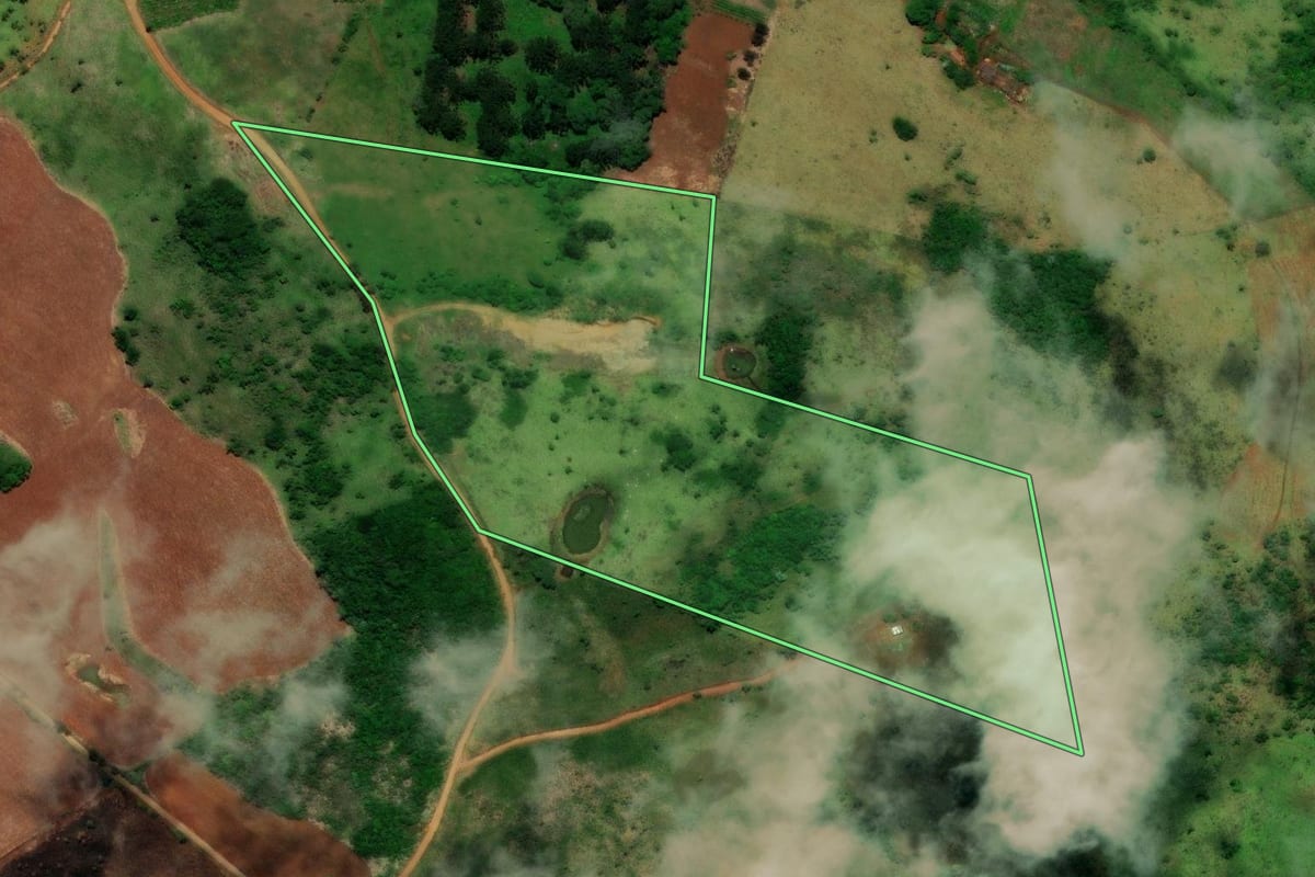 Imagem de satélite do imóvel rural em Turvo (PR), com o contorno declarado no CAR desenhado por cima.