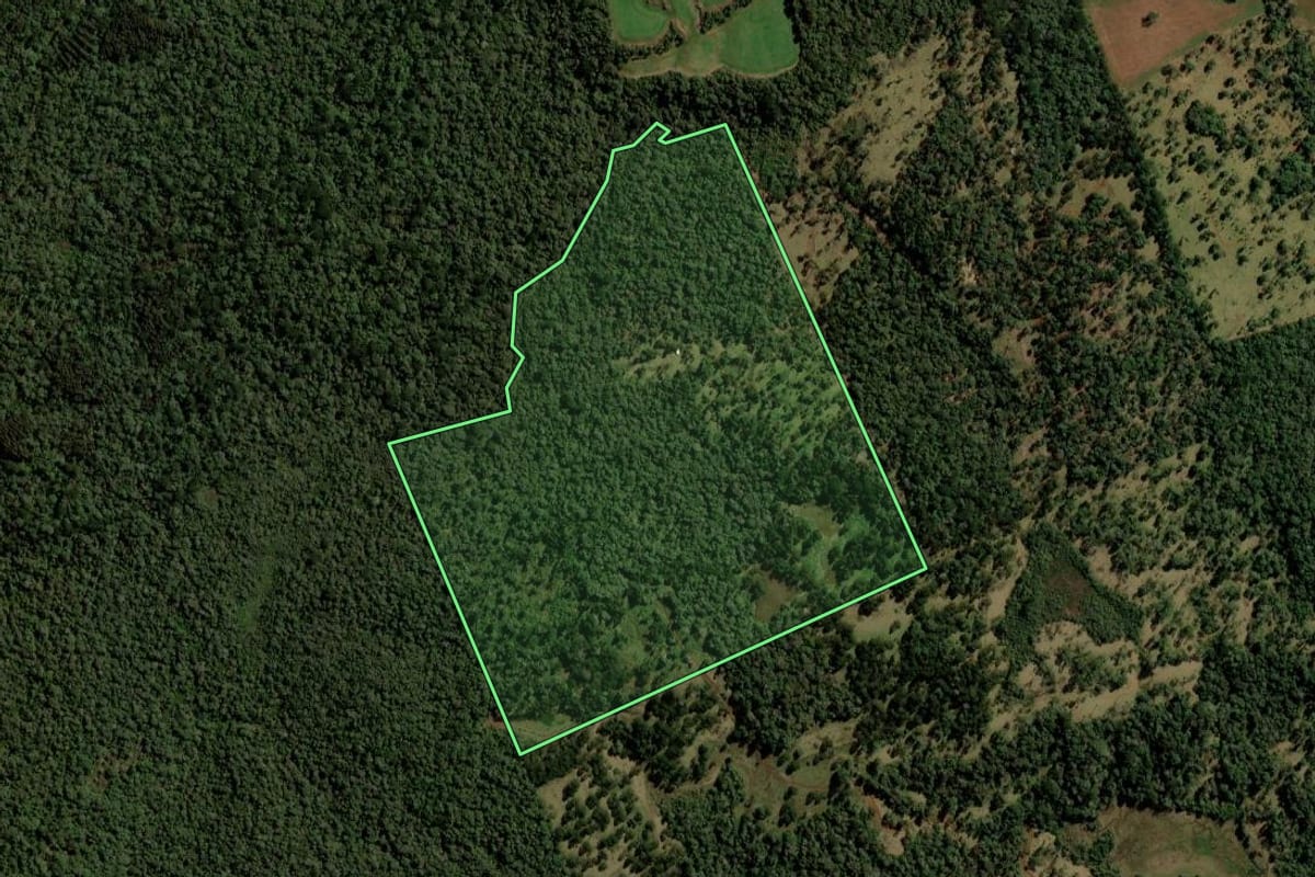 Imagem de satélite do imóvel rural em Turvo (PR), com o contorno declarado no CAR desenhado por cima.