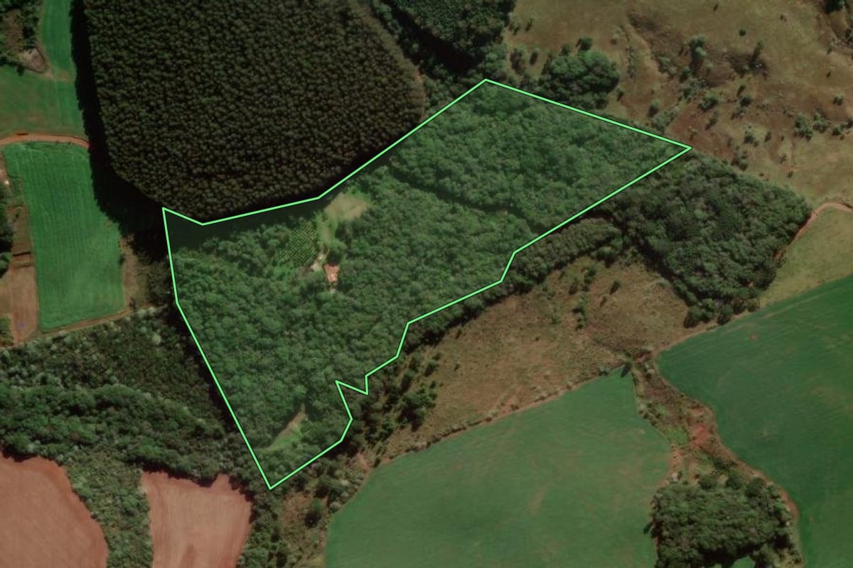 Imagem de satélite do imóvel rural em Turvo (PR), com o contorno declarado no CAR desenhado por cima.