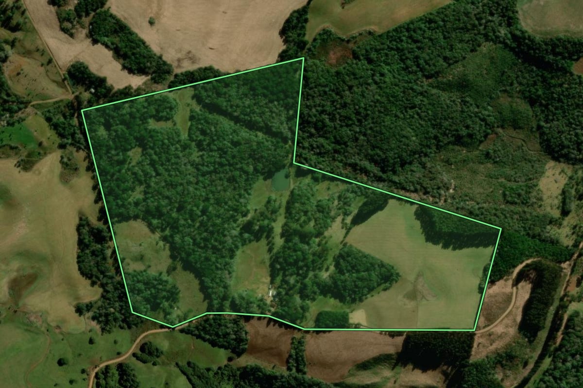 Imagem de satélite do imóvel rural em Turvo (PR), com o contorno declarado no CAR desenhado por cima.