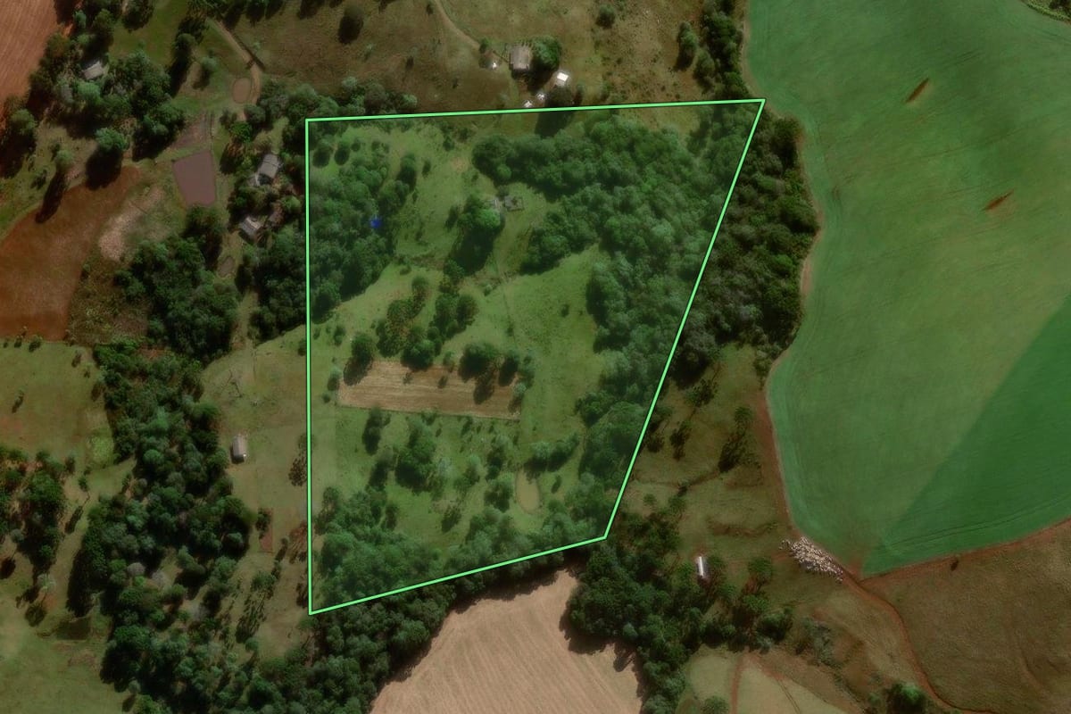Imagem de satélite do imóvel rural em Turvo (PR), com o contorno declarado no CAR desenhado por cima.