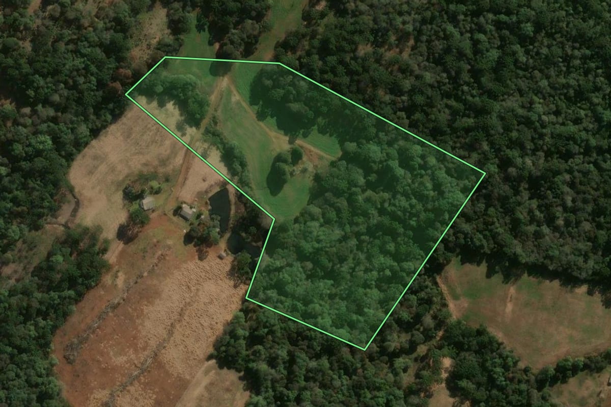 Imagem de satélite do imóvel rural em Turvo (PR), com o contorno declarado no CAR desenhado por cima.