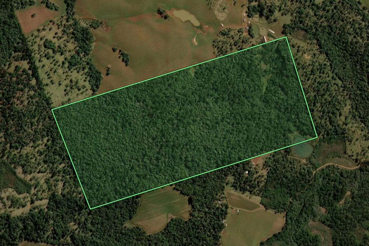 Imagem de satélite do imóvel rural em Turvo (PR), com o contorno declarado no CAR desenhado por cima.