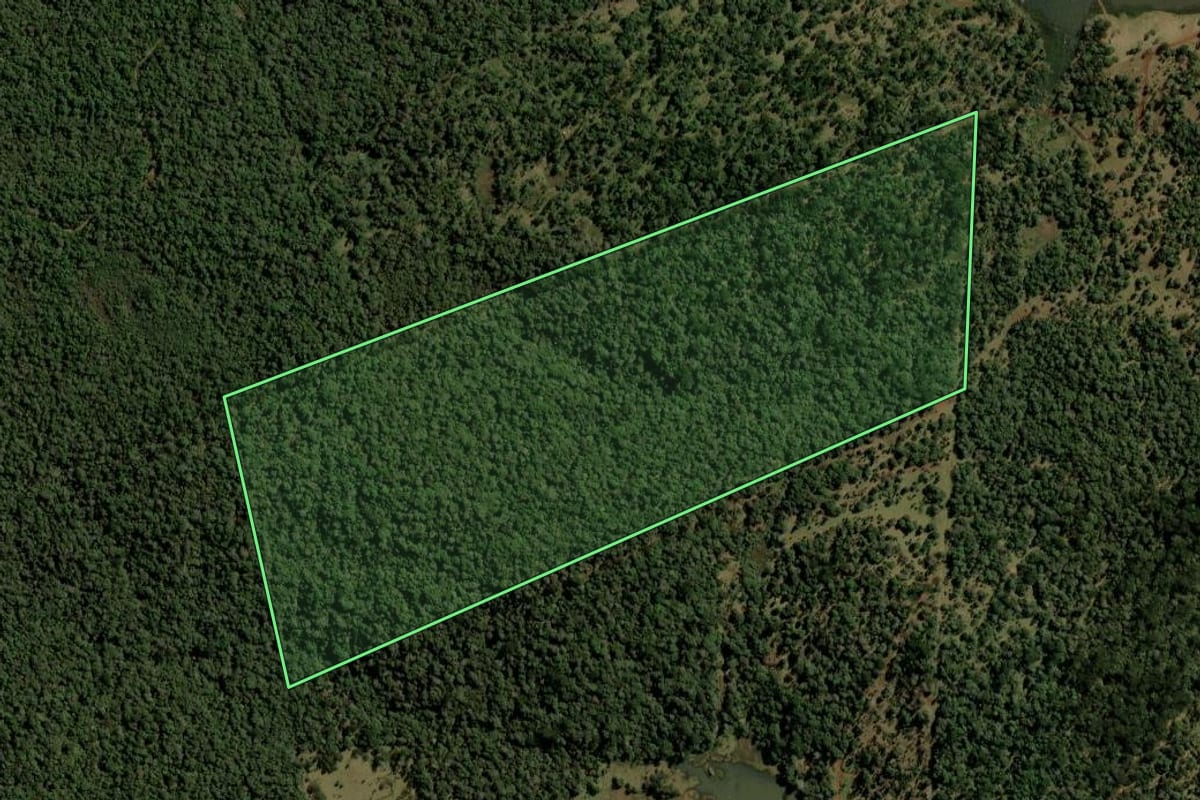 Imagem de satélite do imóvel rural em Turvo (PR), com o contorno declarado no CAR desenhado por cima.