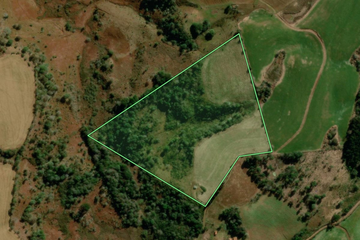 Imagem de satélite do imóvel rural em Turvo (PR), com o contorno declarado no CAR desenhado por cima.