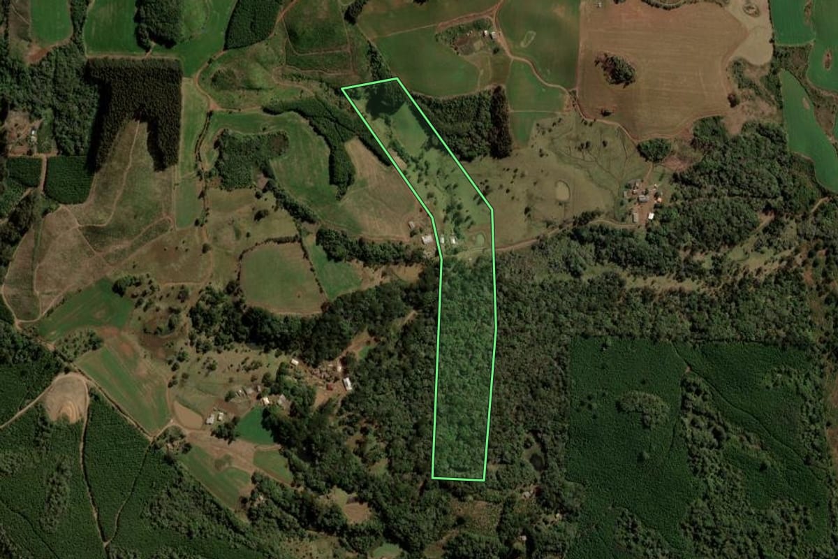 Imagem de satélite do imóvel rural em Turvo (PR), com o contorno declarado no CAR desenhado por cima.