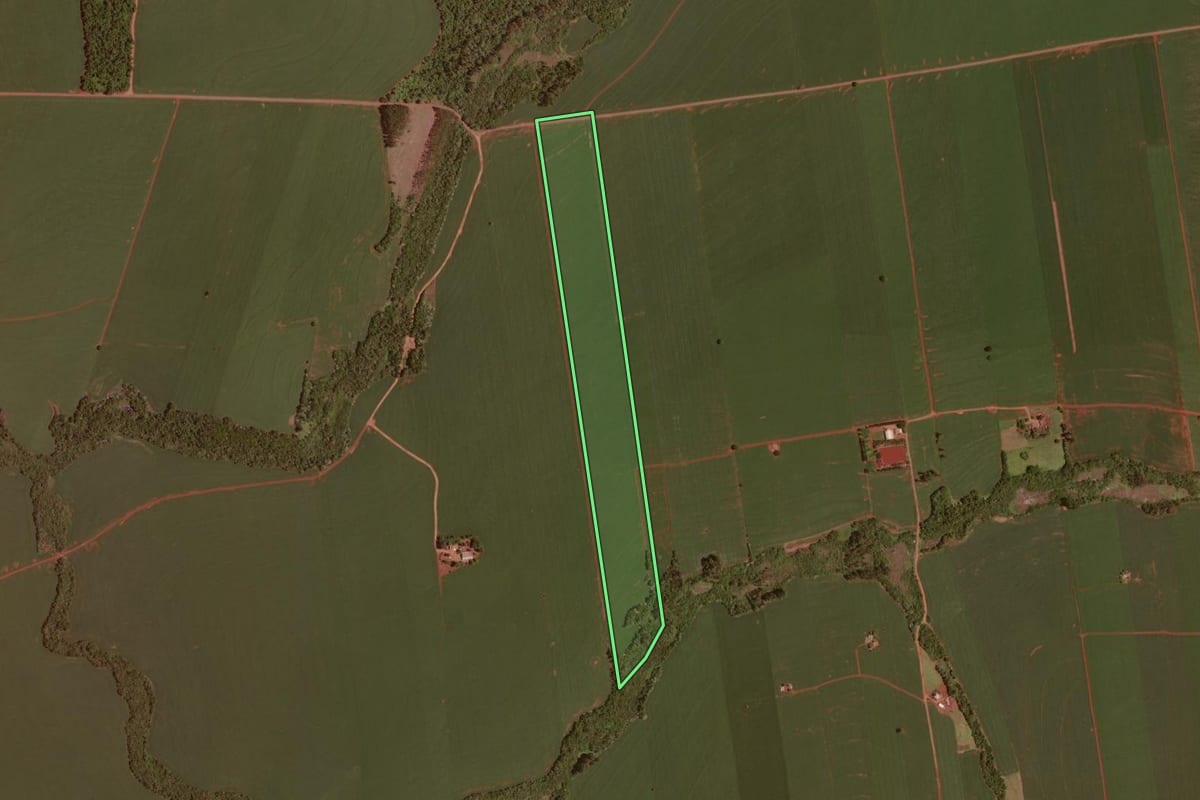 Imagem de satélite do imóvel rural em Ubiratã (PR), com o contorno declarado no CAR desenhado por cima.